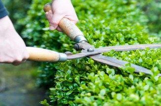 GARDEN SERVICE